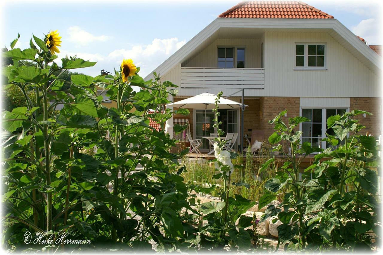 Apartment Seerose Remseck am Neckar Kültér fotó